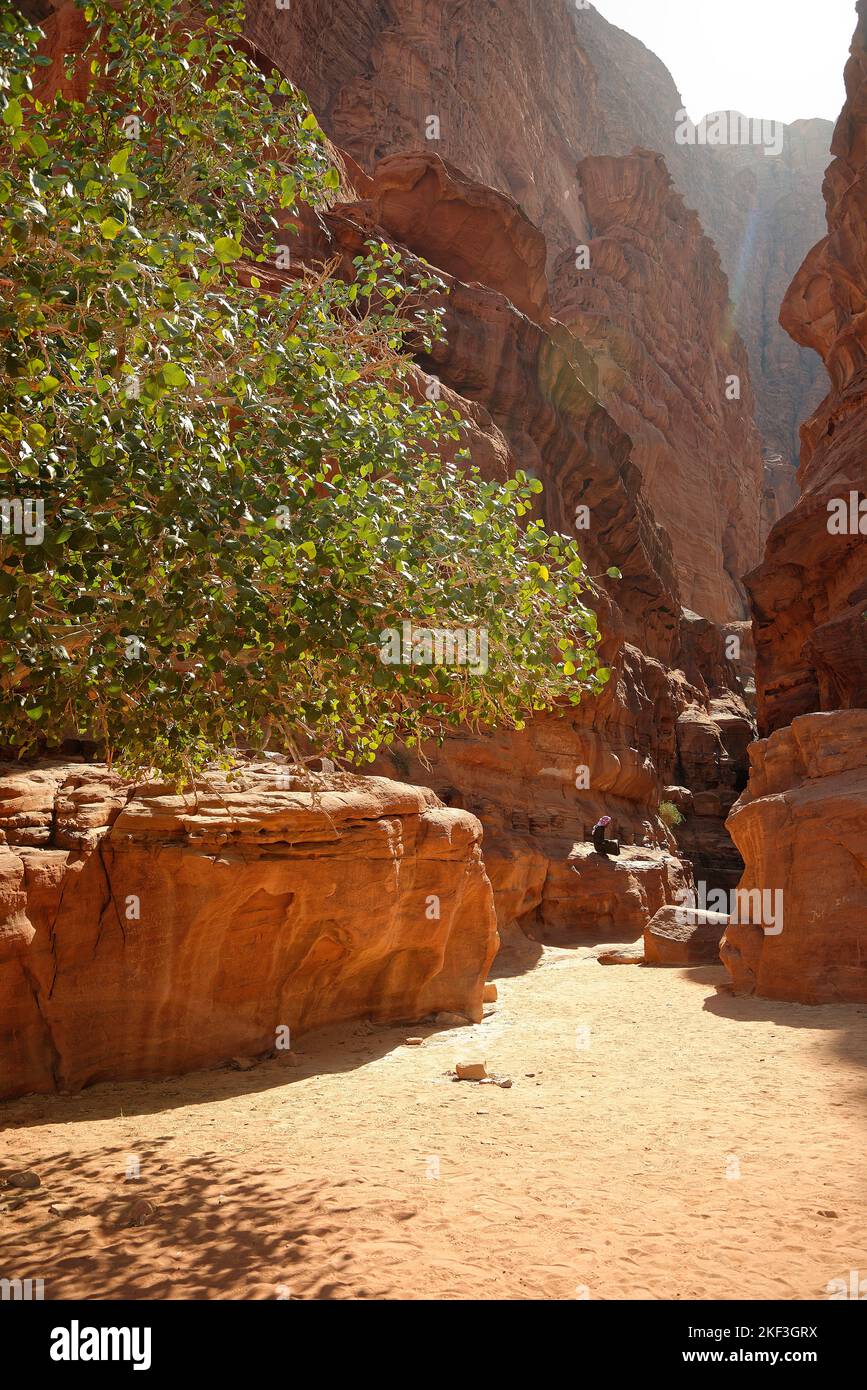 A gorge at the Wadi Rum desert UNESCO world Heritage Protected area. Populated by Bedouin families Stock Photo