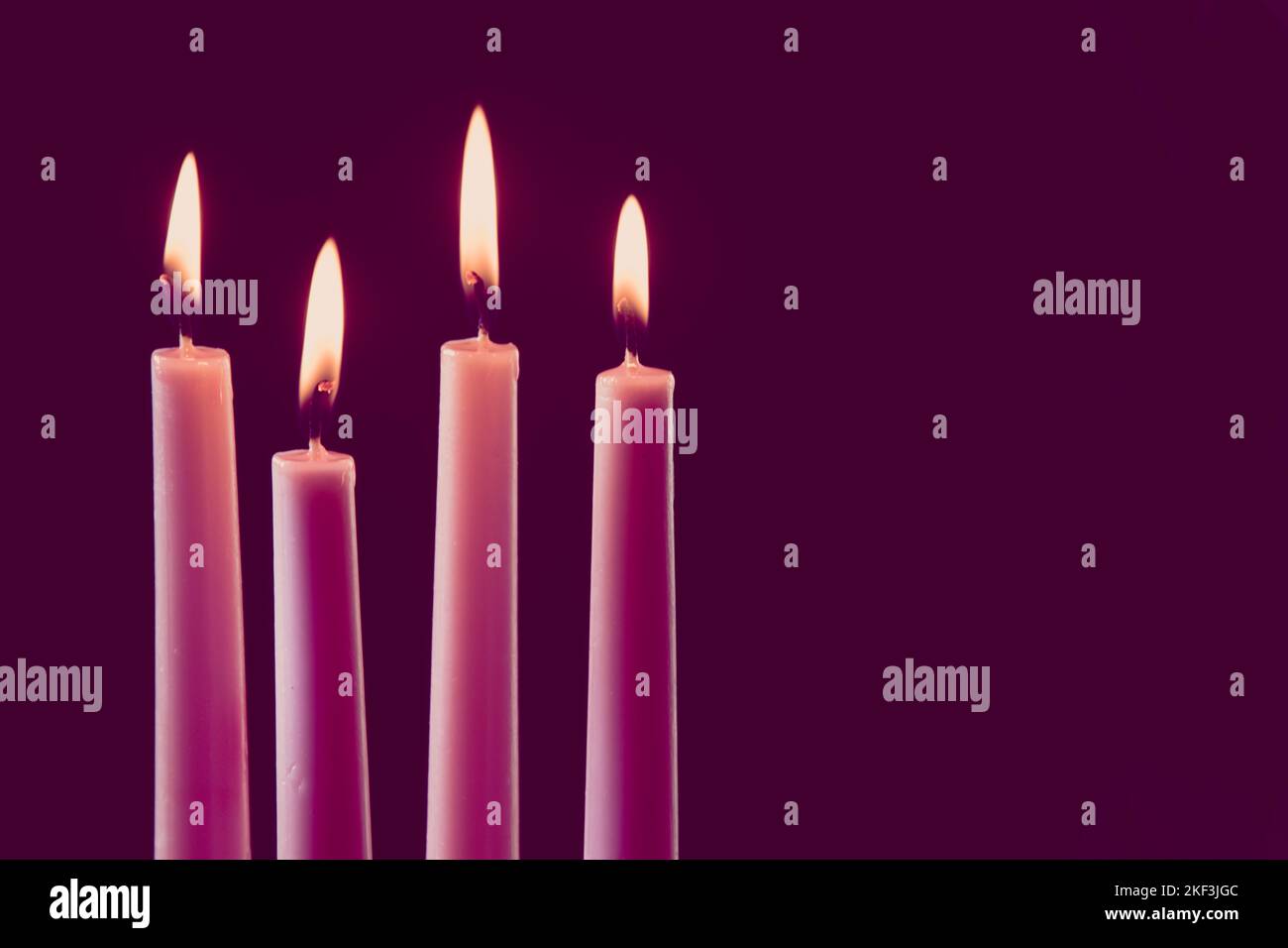 4 burning pink advent candles on black background, copy space Stock