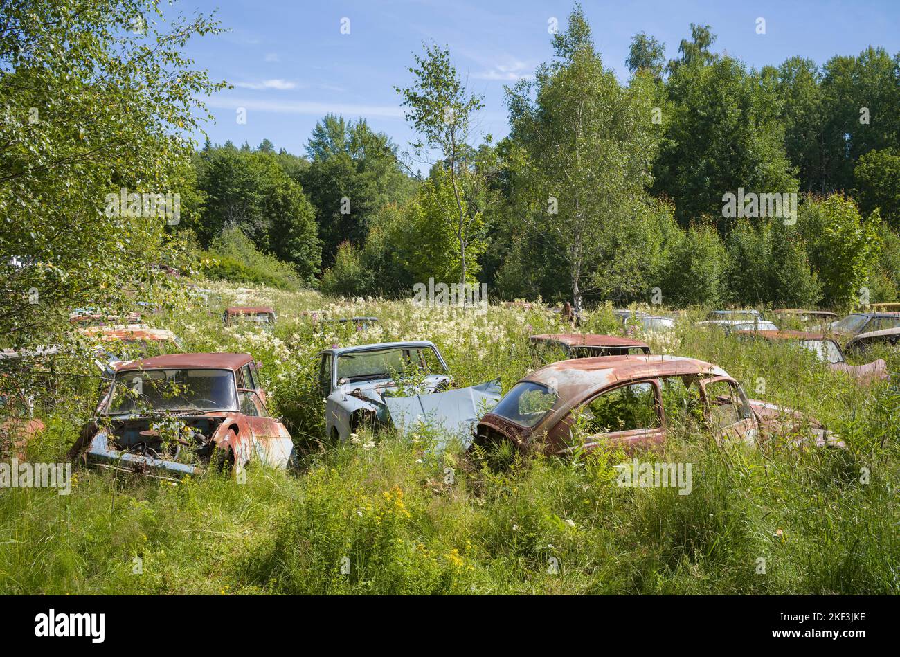 Abandoned automobile hi-res stock photography and images - Alamy