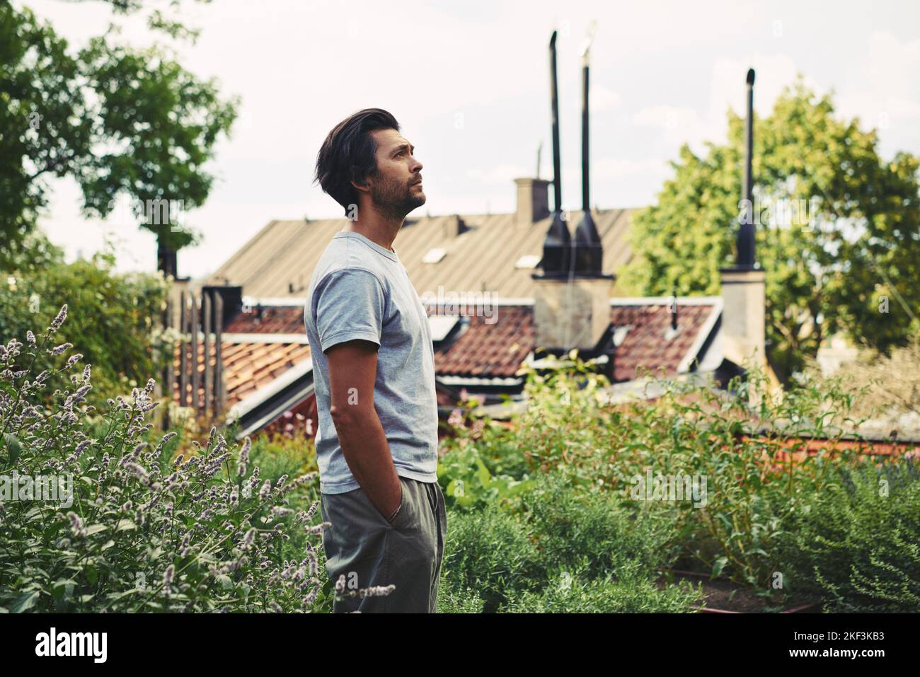 Man standing in garden by house Stock Photo
