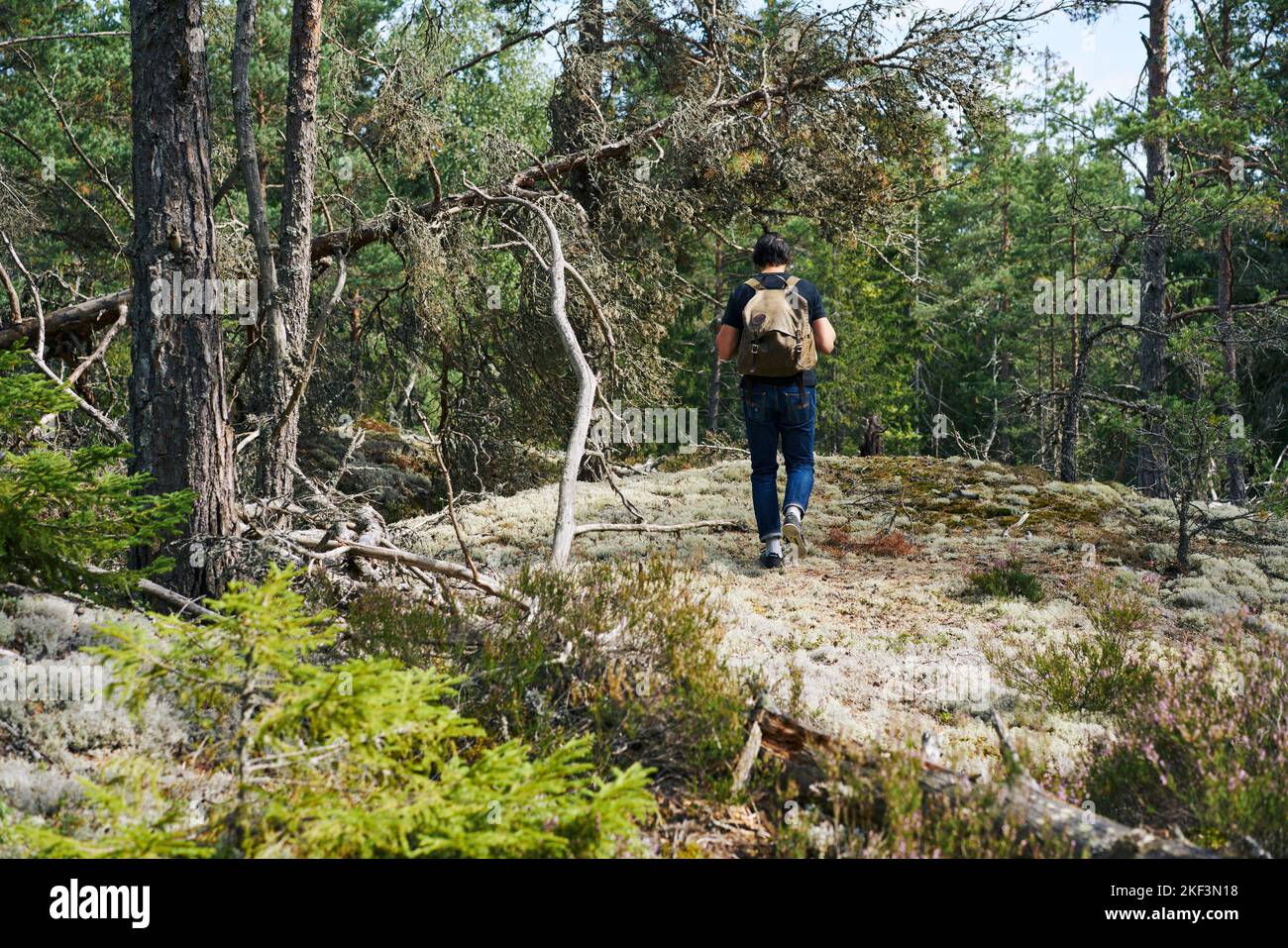 Man with backpack hiking through forest Stock Photo