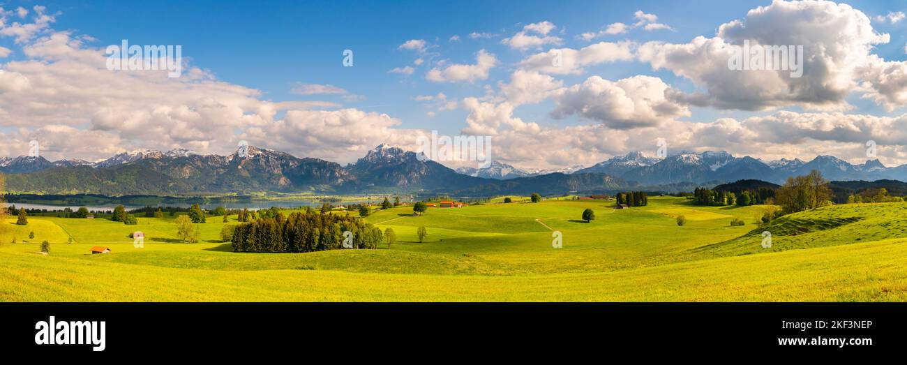 Panorama Landschaft im Allgäu mit Bergkette der Alpen Stock Photo