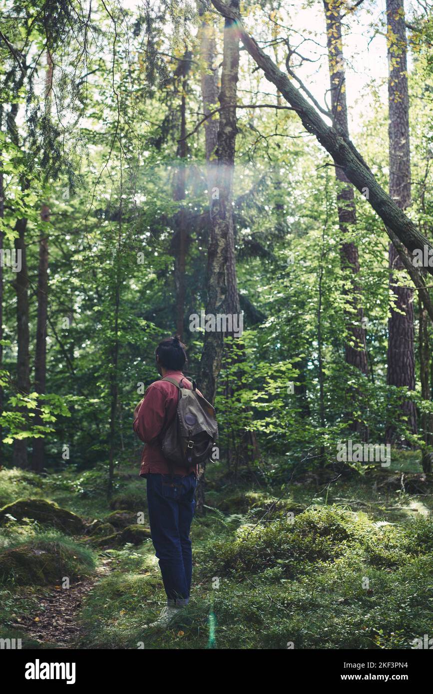 Mid adult man hiking in forest Stock Photo