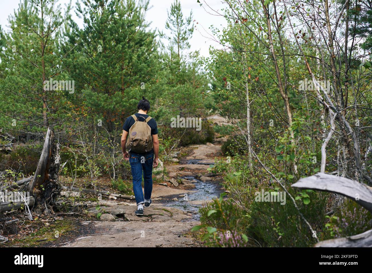 Man hiking by stream through forest Stock Photo