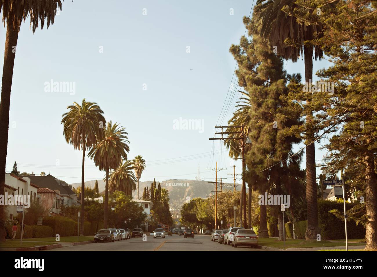 242 fotos de stock e banco de imagens de Hollywood Sign Palm Trees