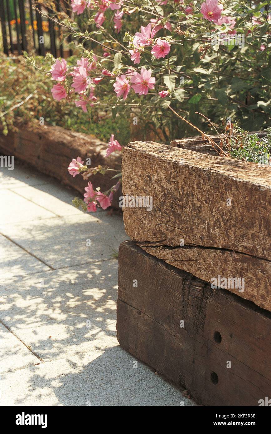 A garden border wall made from old wooden boards Stock Photo
