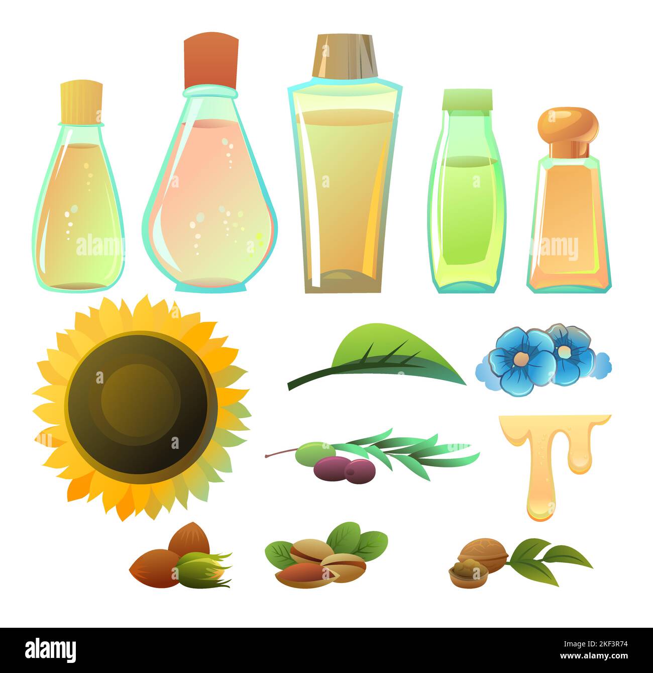 Set of natural oils objects. Extracted from nuts and plant seeds. Ecologically clean natural food. Product for healthy lifestyle and cooking. Isolated Stock Vector