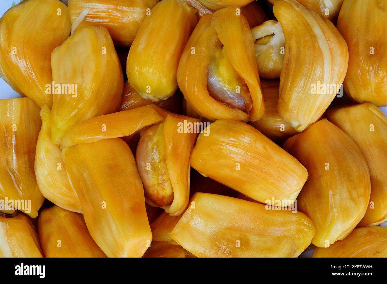 Ripe jackfruit flesh with seed inside, Artocarpus heterophyllus, Thiruvananthapuram, Kerala, India Stock Photo