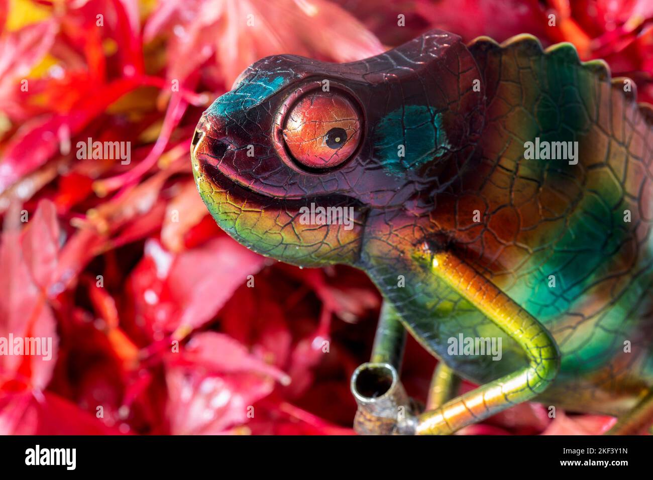 Chameleon colourful metallic garden ornament with autumn fall leaves in the background Stock Photo