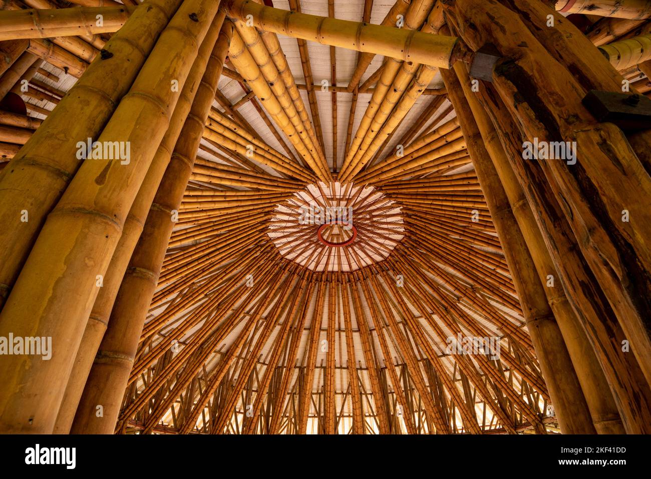 Detail of a bamboo construction in Colombia, Manizales, Caldas, Antioquia, South America Stock Photo