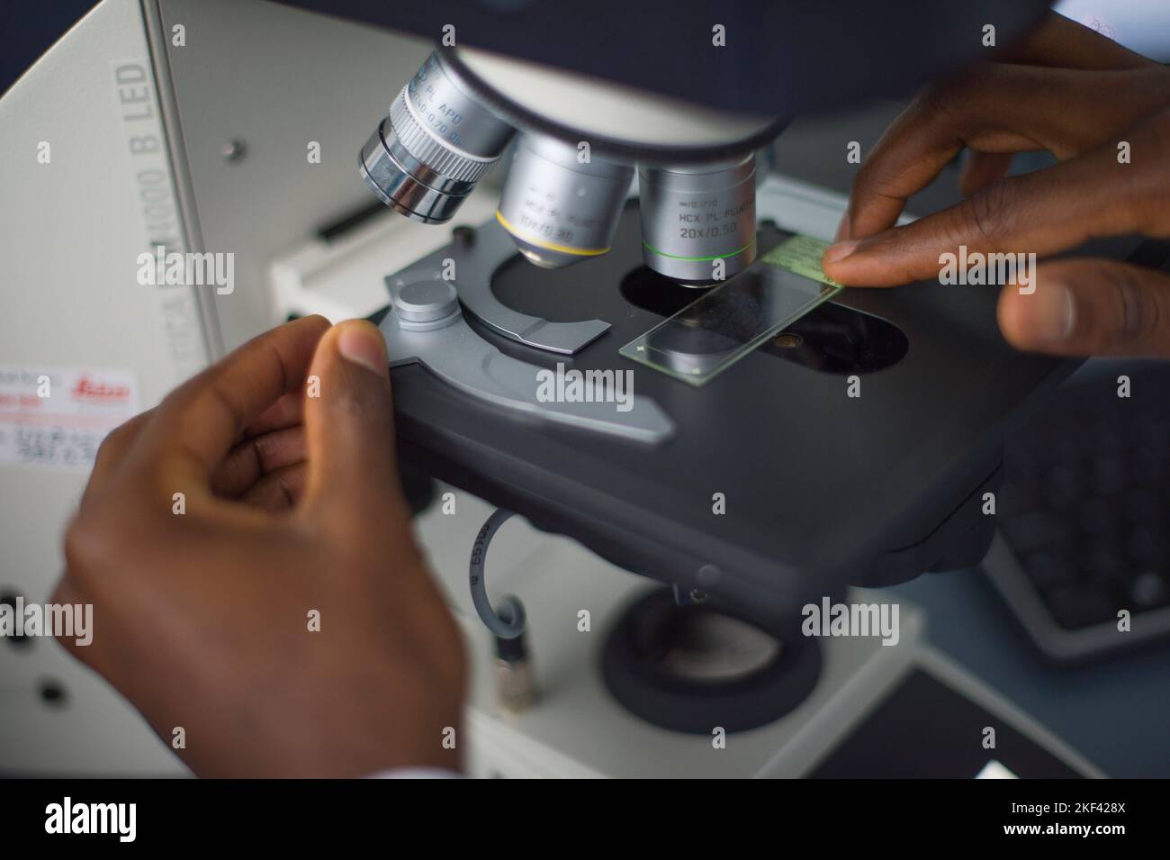 A university student using a microscope Stock Photo Alamy