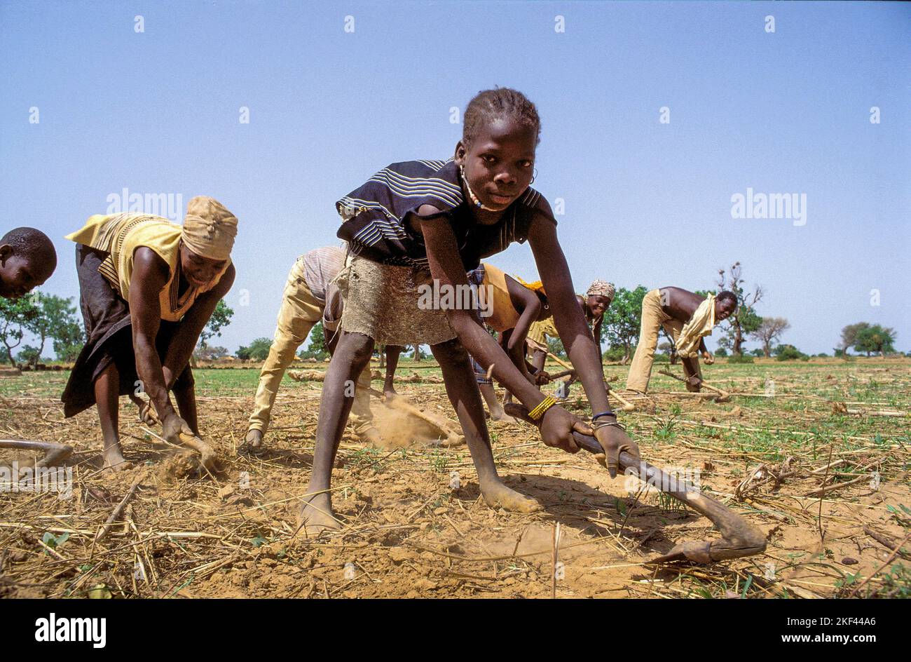 Burkina Faso, Girl and adults weeding and ploughing soil by hand. Stock Photo