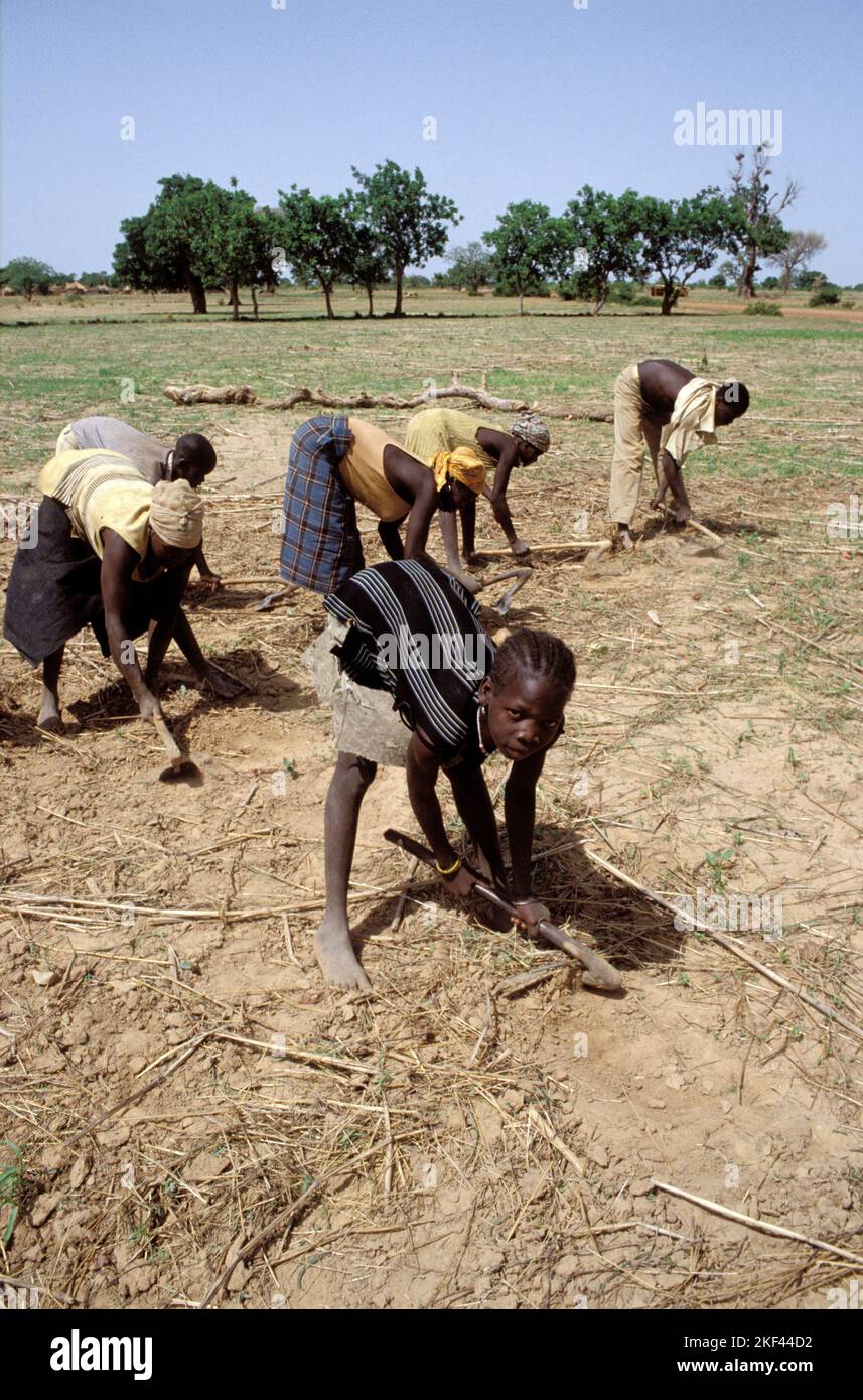 Burkina Faso, Girl and adults ploughing soil with a heel Stock Photo