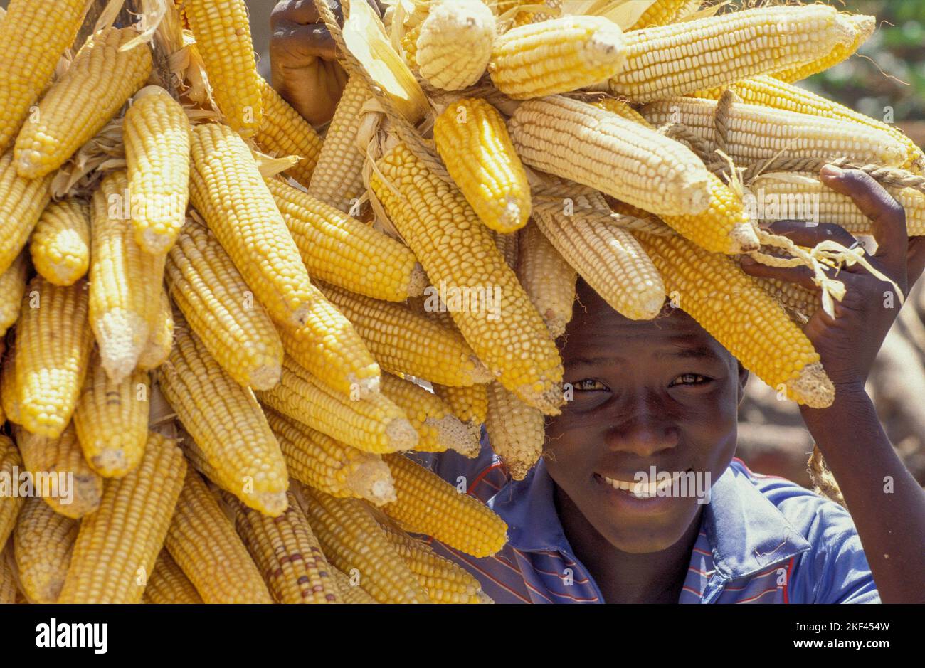 Burkina Faso, Fada. Portrait of a boy with corncobs. Stock Photo