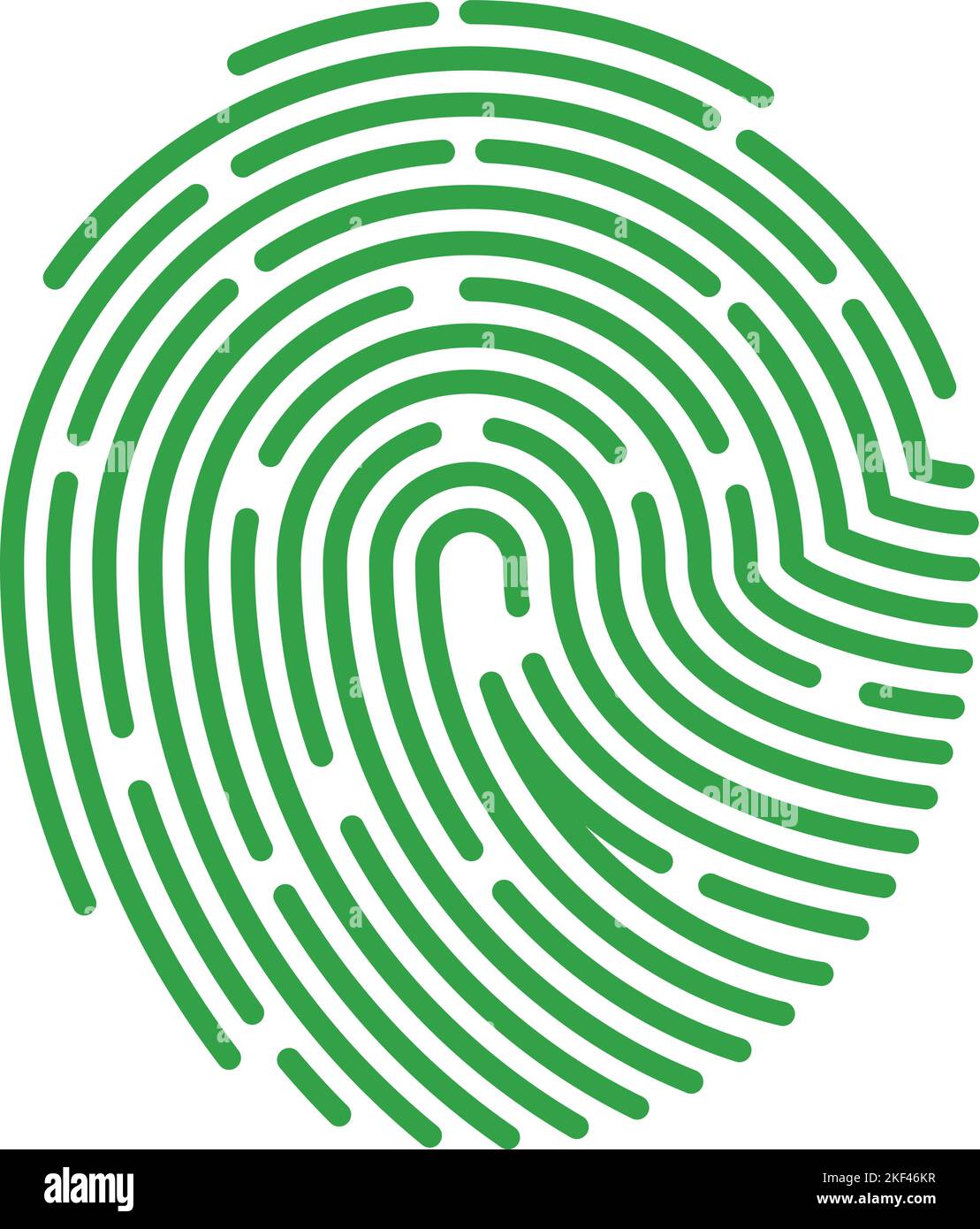 Green fingerprint approved authentication succesful login icon stock