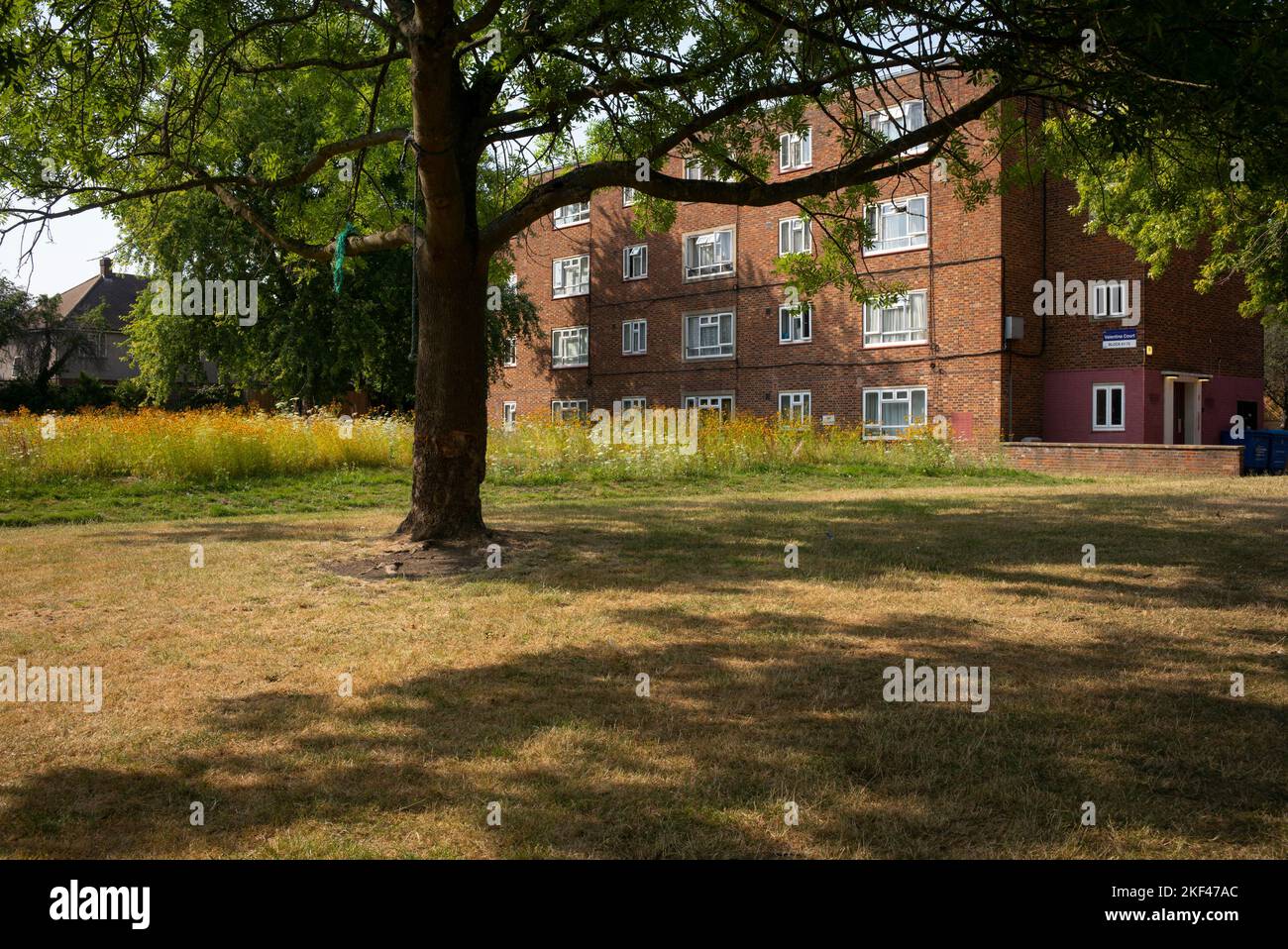 Valentines Court estate, communal green space threatened by Infill building, with dappled sunlight Stock Photo