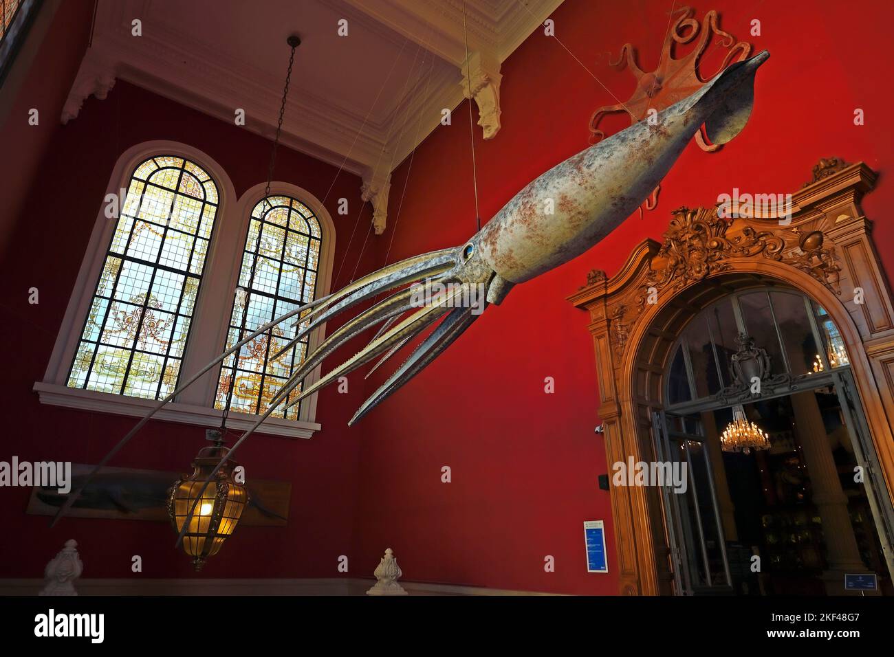 Modell eines Riesenkraken, Ozeanographisches Museum Monaco, Monaco Ville, Monaco Stock Photo