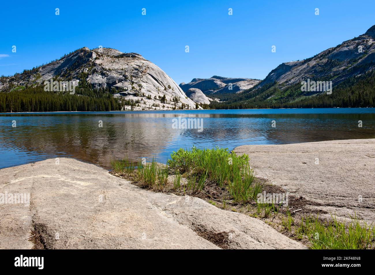 Morgenstimmung am Tenaya Lake See im Yosemite Nationalpark, Kalifornien, USA, Nordamerika Stock Photo