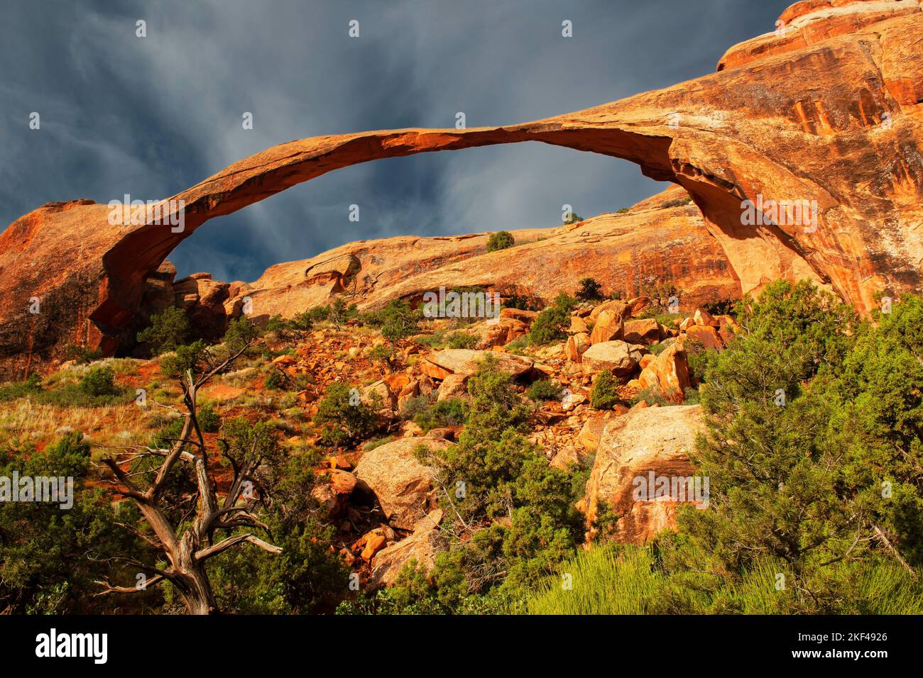 Landscape Arch bei Sonnenaufgang und aufziehendem Gewitter, Arches Nationalpark, Utah, USA, Nordamerika Stock Photo