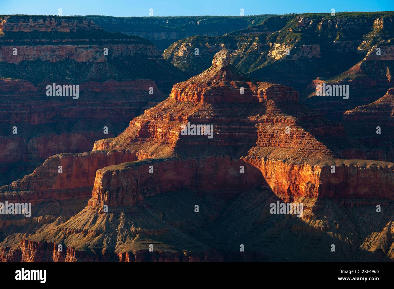 Yavapai Point bei Sonnenaufgang, Grand Canyon South Rim, Südrand, Arizona, USA, Nordamerika Stock Photo