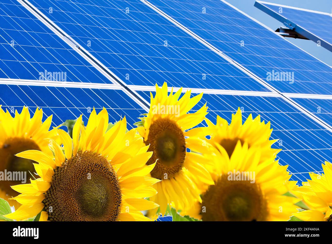 Regenerative, alternative Solarenergie. Sonnenenergie, Kraftwerk, Solaranlage, Photovoltaik, Umweltfreundlich, Stock Photo