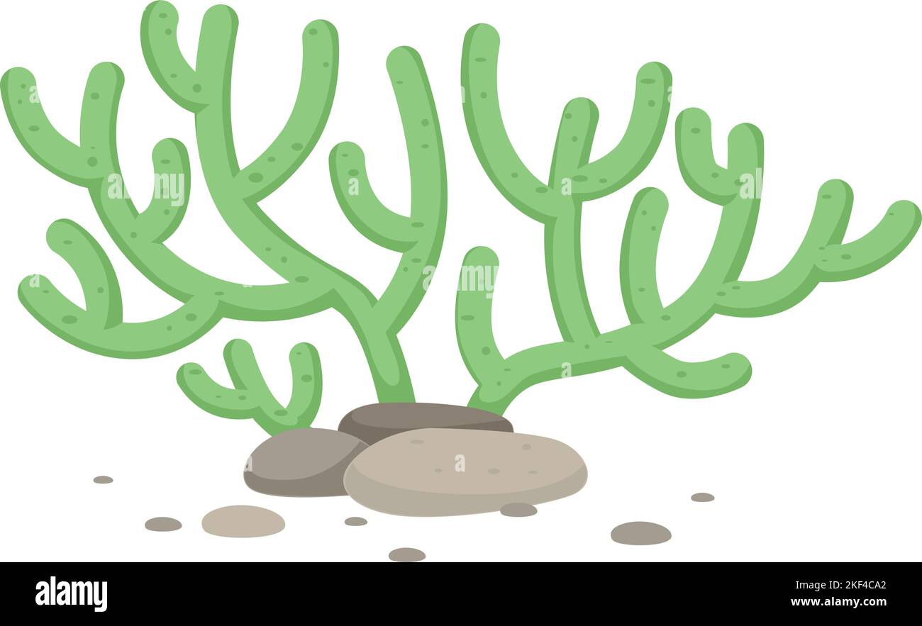 Green coral polyp icon. Cartoon underwater fauna Stock Vector Image ...