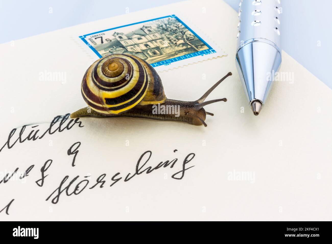 Schneckenpost, Eine Schnecke kriecht auf einem Briefumschlag, Symbolfoto, Stock Photo