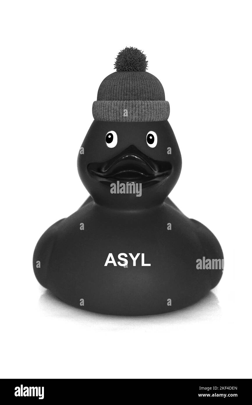Ente, Enten, Badeente, Badeenten, Quietscheente, Ausländer, Quietscheentchen, Quietscheenten, Gummitier, Asylant, Asyl, Flüchtling, Bleiberecht, Kinde Stock Photo