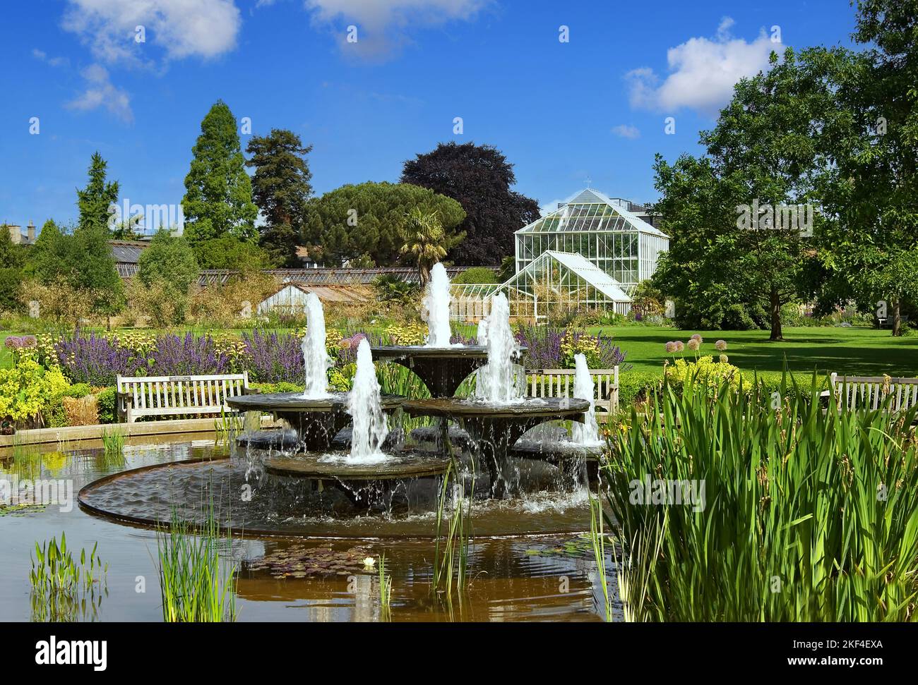 Im bekannten Botanischen Garten der Universitaetsstadt Cambridge in England. Stock Photo