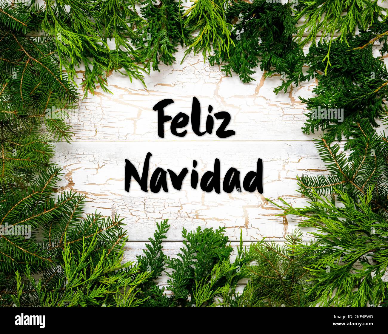Christmas, Fir Branch, Spanish Text Feliz Navidad Means Merry Christmas Stock Photo