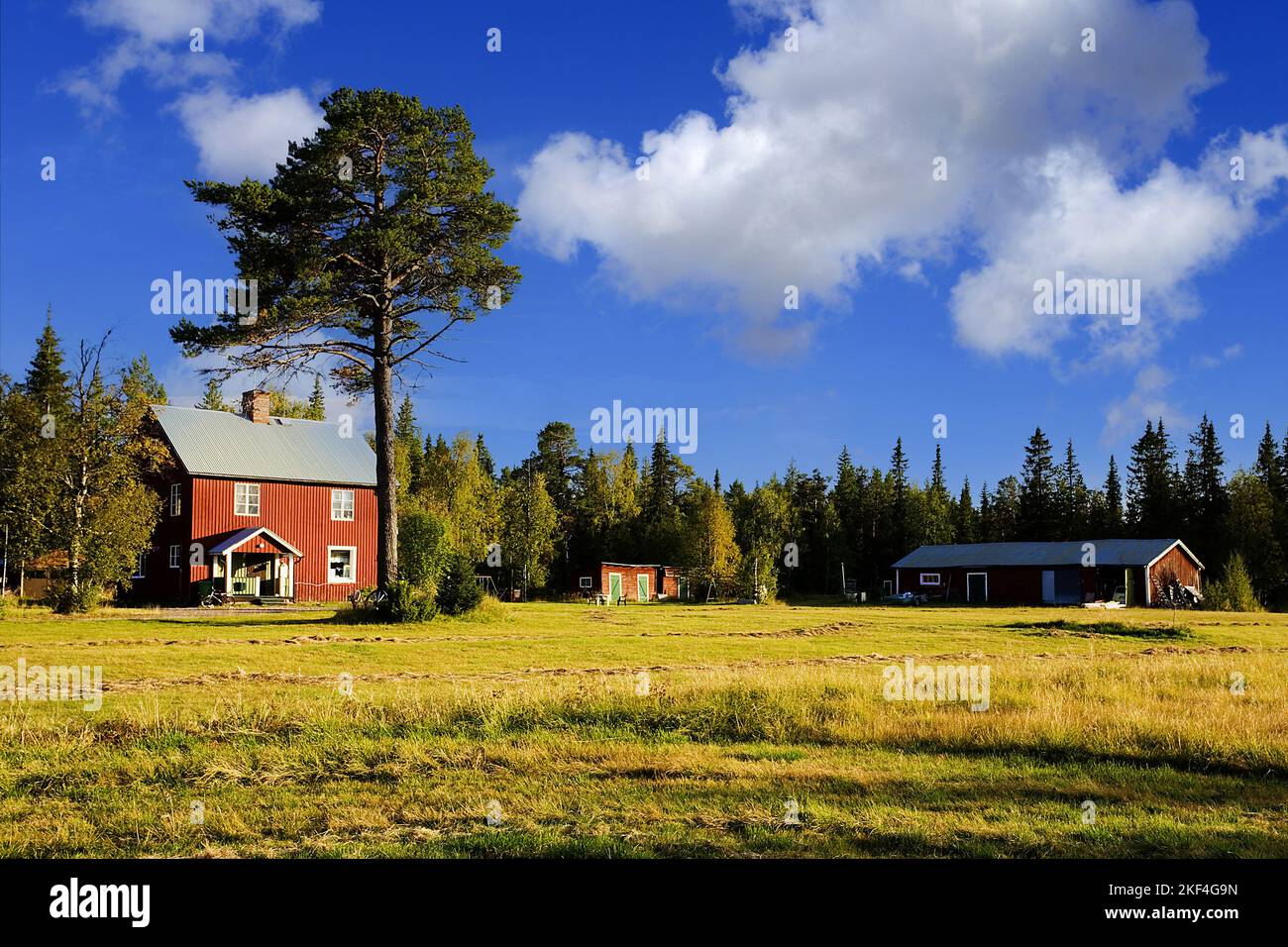Schweden - Lappland - typische Landschaft mit Holzhaus Stock Photo