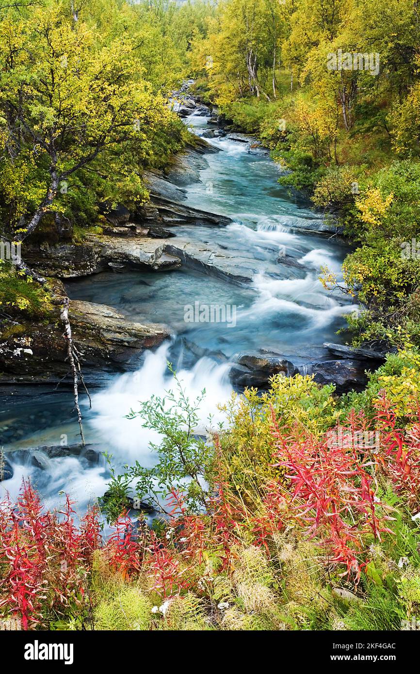 Schweden - typische Landschaft - Abisko Nationalpark, wilder Bachlauf im Herbst, Stock Photo