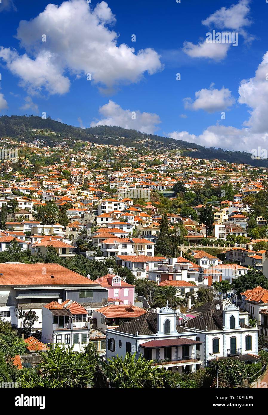 Blick auf Funchal auf Madeira, Portugal, Europa, Stock Photo
