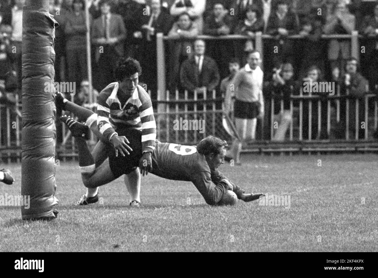 Wales scrumhalf Clive Shell scores a try Stock Photo Alamy