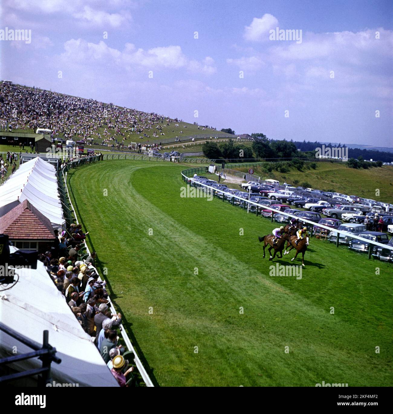 The Horses head towards the finish line as the crowd cheers them on