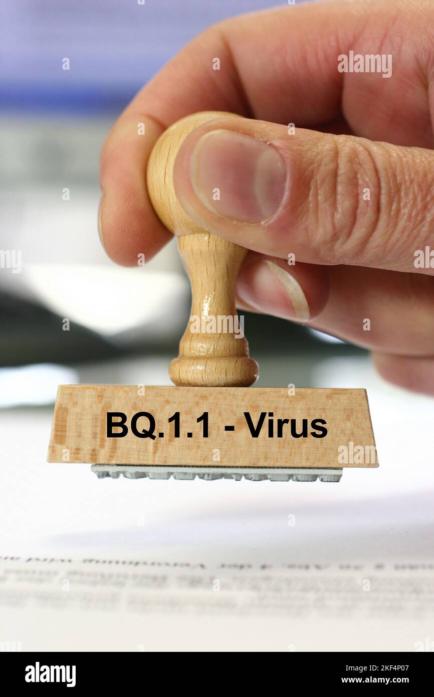 Frau hält einen Holzstempel mit der Aufschrift: BQ 1.1. - Virus Stock Photo