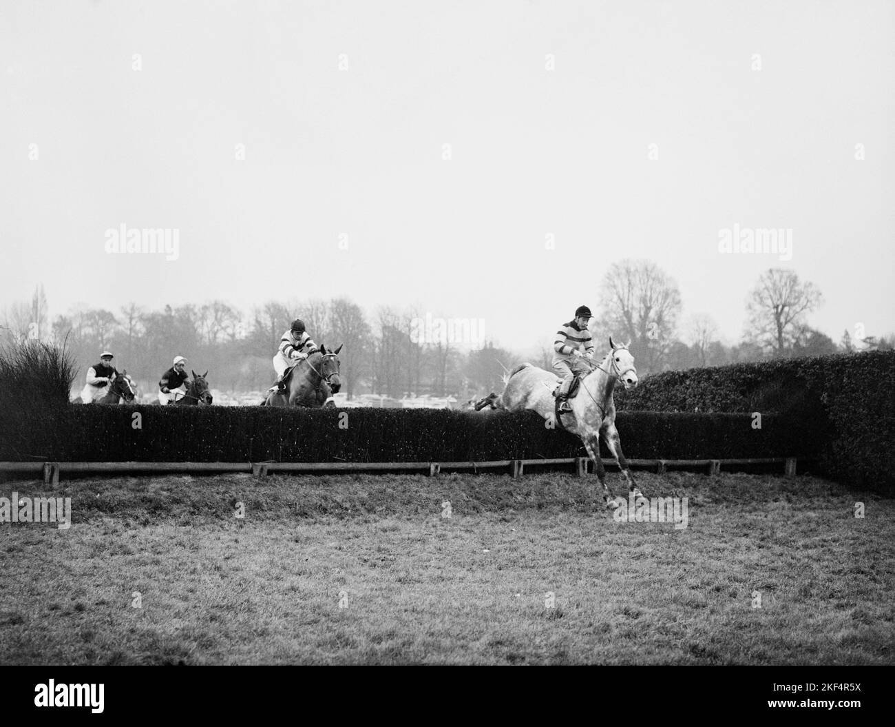 Flying Wild, Tommy Carberry up, clears the last fence before going on