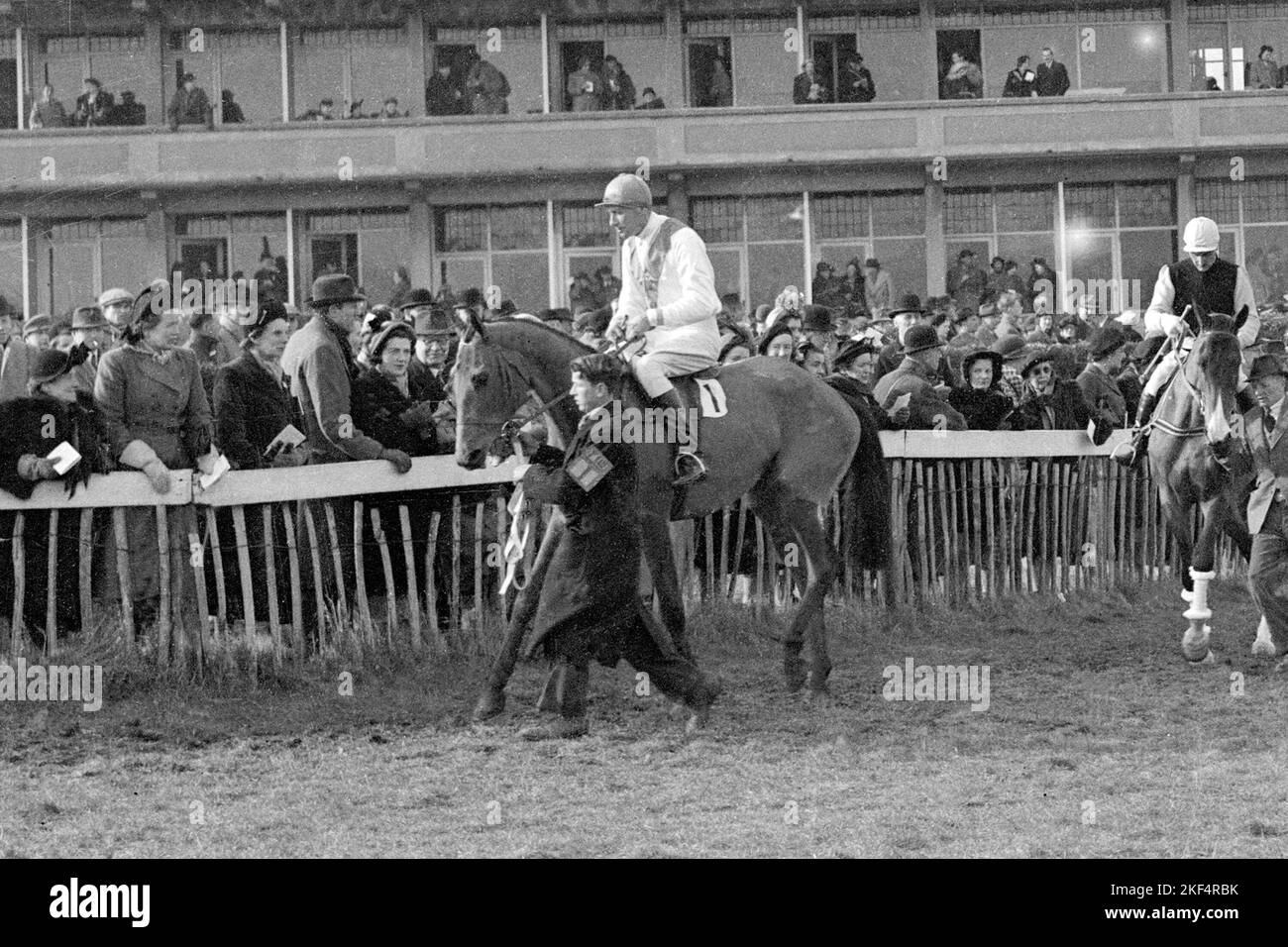 Castledermot, Lord Mildmay of Flete up, leads the parade Stock Photo