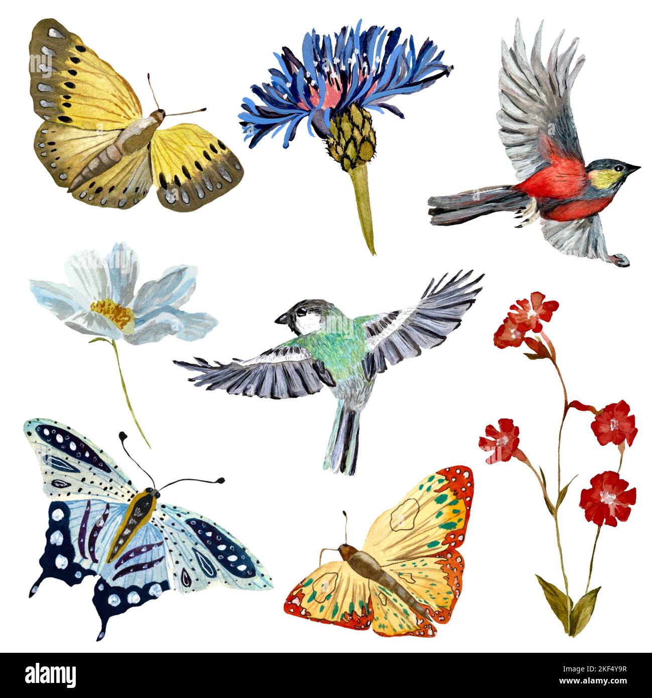 Flower butterfly bird set a watercolor sketch Stock Photo Alamy