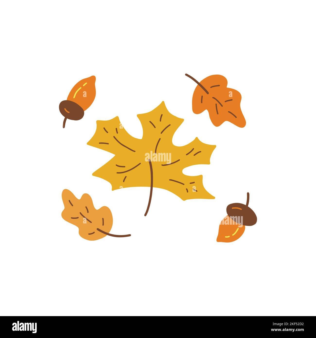 Autumn yellow fallen leaf Stock Vector Images - Alamy