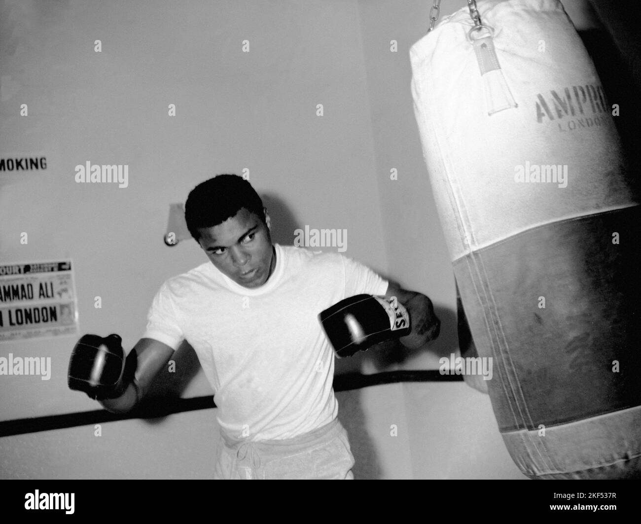 Muhammad Ali keeps his eyes on the bag as he trains for his defence ...