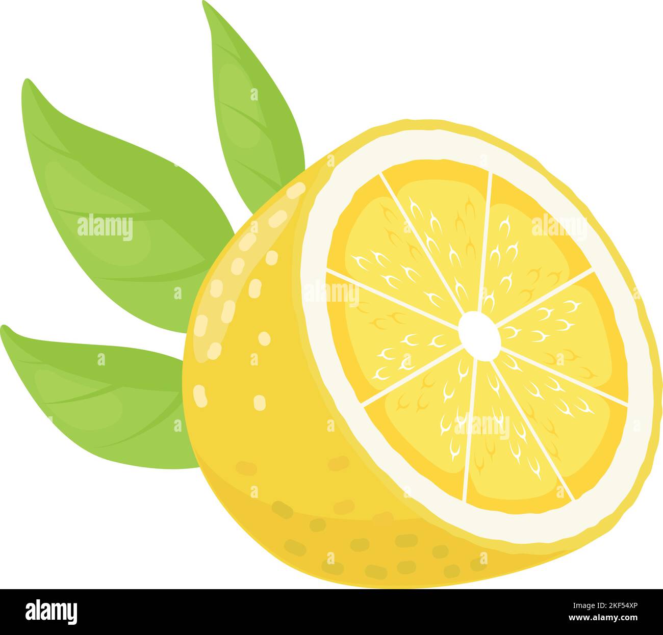 Half of lemon icon. Cartoon citrus. Fruit cut Stock Vector Image & Art ...