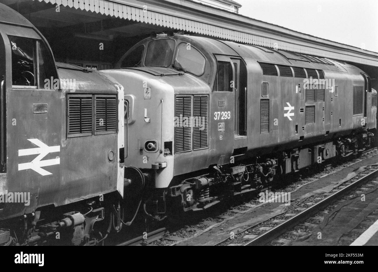 original british rail diesel locomotives class 37 numbers 37292 37293 on freight didcot late 1970s early 1980s Stock Photo