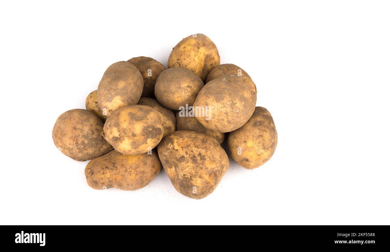 Stack of unwashed potatoes on a white background Stock Photo