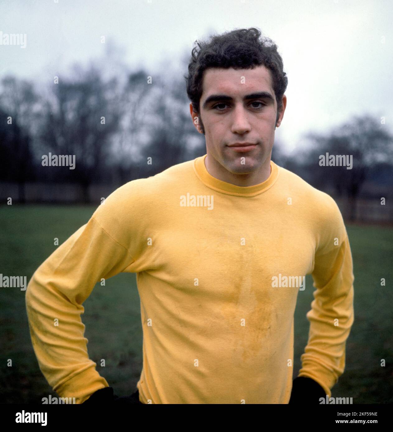 Peter Shilton, England goalkeeper Stock Photo Alamy