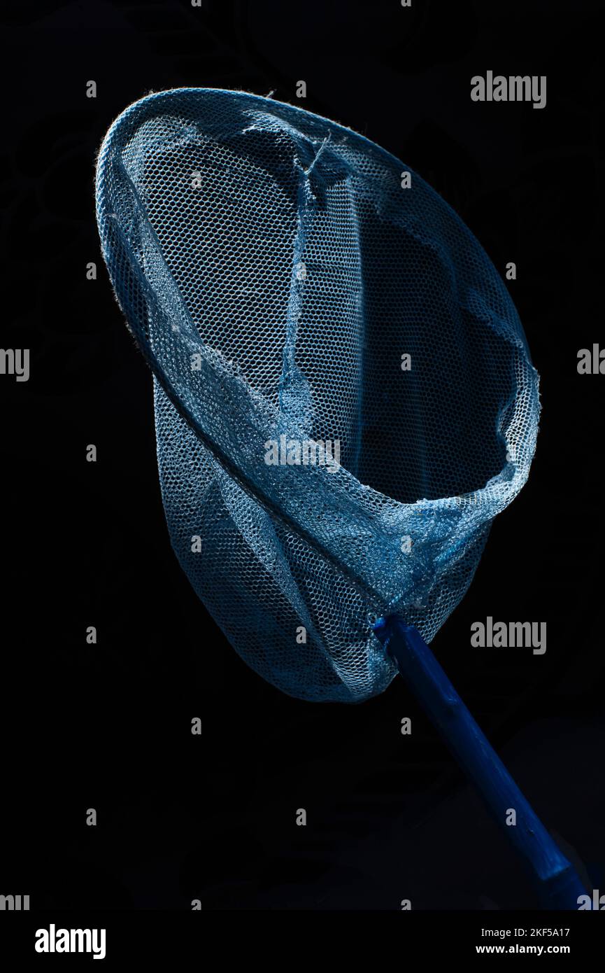 child's blue fish / butterfly net on a black background Stock Photo