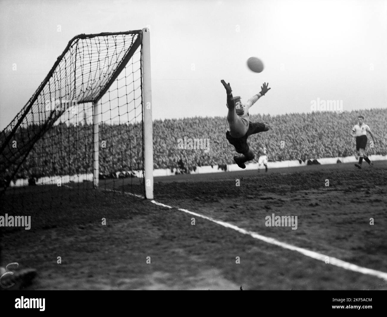 Belgium goalkeeper Henri Meert makes a flying save Stock Photo - Alamy