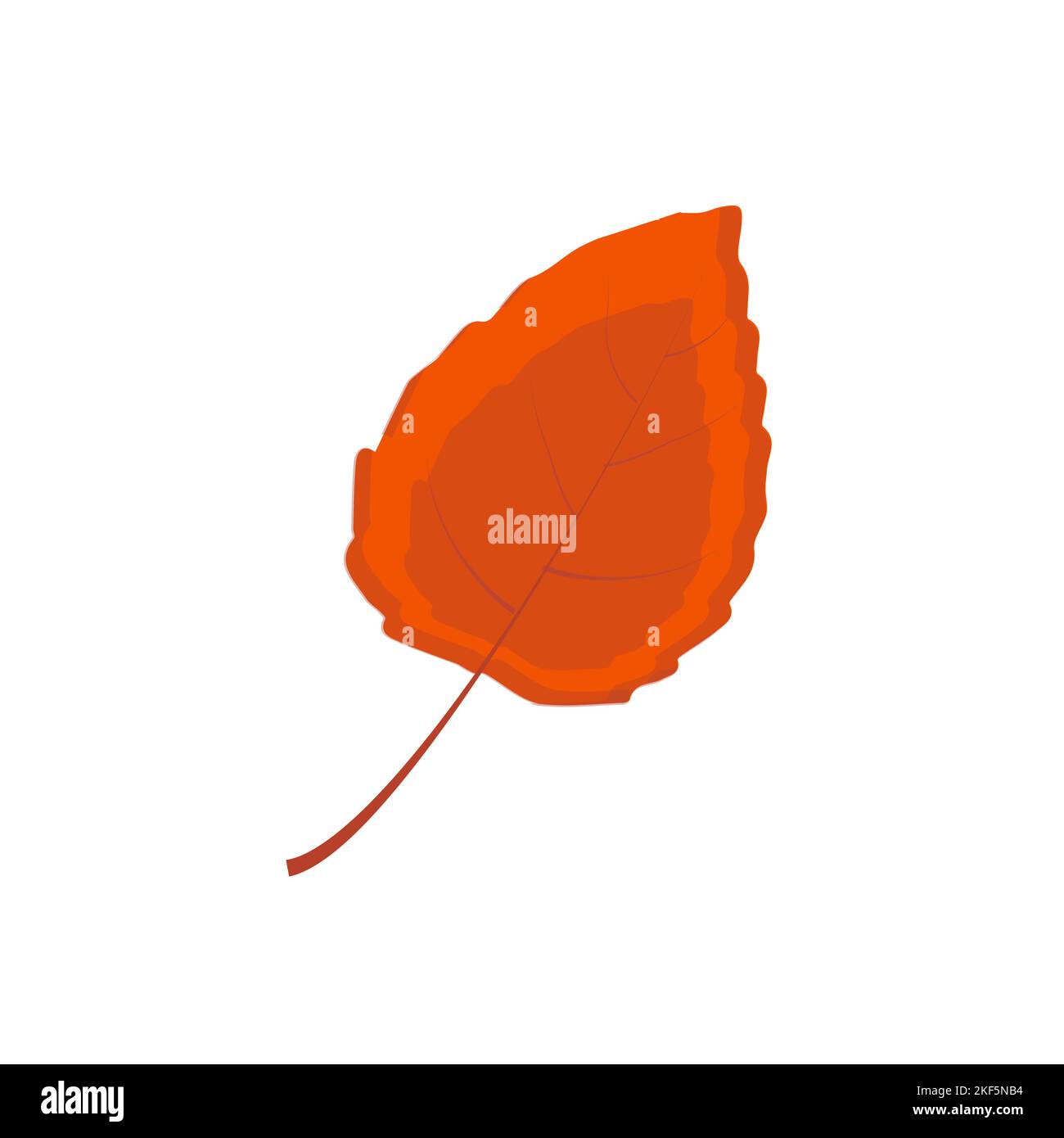Autumn leaf. Autumn maple leaf isolated on a white background. Vector ...