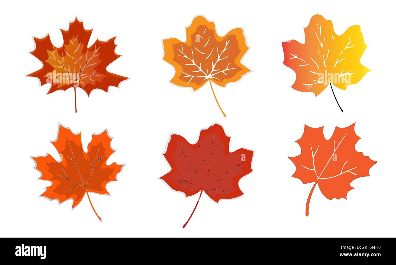 Autumn leaf. Autumn maple leaf isolated on a white background. Vector illustration Stock Vector