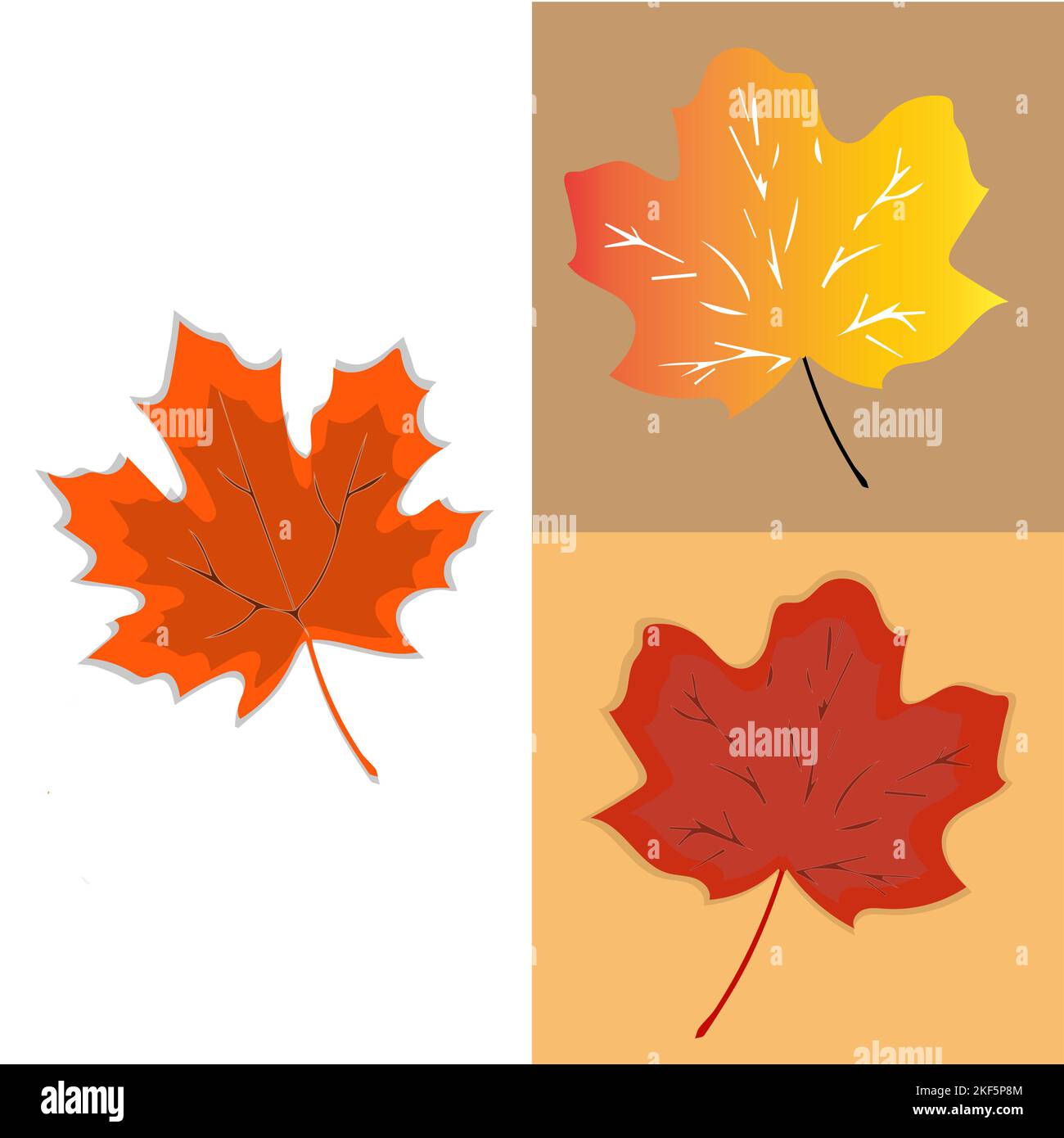 Autumn leaf. Autumn maple leaf isolated on a white background. Vector ...